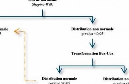 Extrait de l'arbre de décision pour le traitement des données