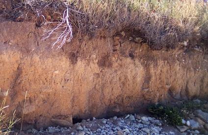 Image d'un profil de sol en bord de mer.