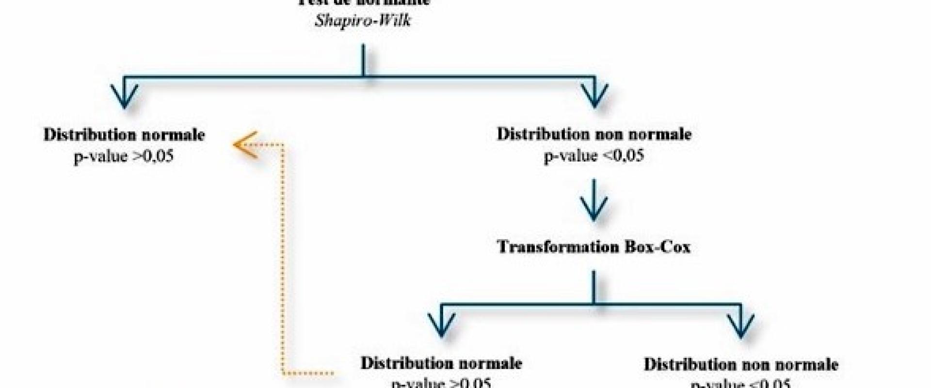 Extrait de l'arbre de décision pour le traitement des données